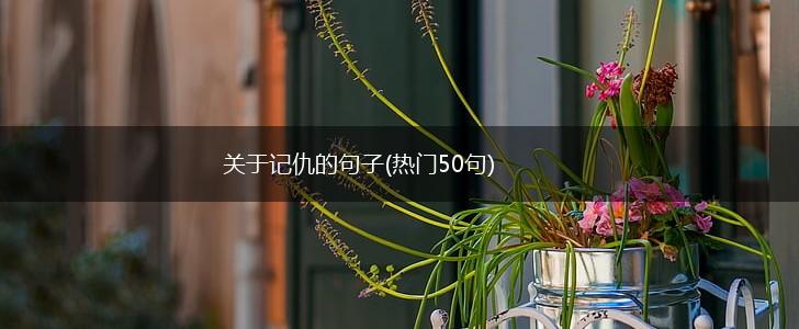 关于记仇的句子(热门50句),第1张