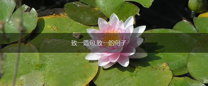 致一造句,致一的句子,第1张