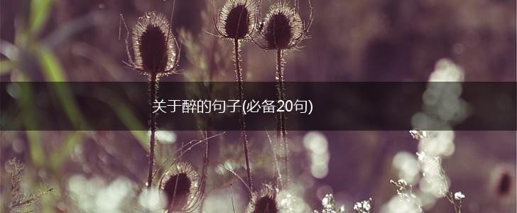 关于醉的句子(必备20句),第1张