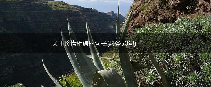 关于珍惜相遇的句子(必备50句),第1张