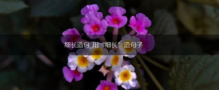 细长造句_用“细长”造句子,第1张