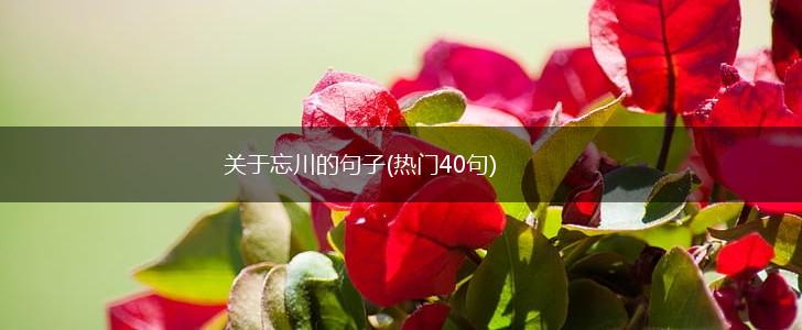 关于忘川的句子(热门40句),第1张