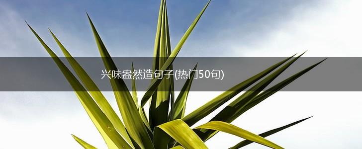 兴味盎然造句子(热门50句),第1张