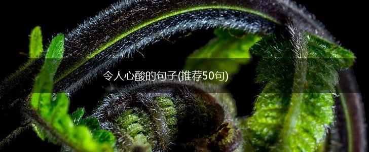 令人心酸的句子(推荐50句),第1张