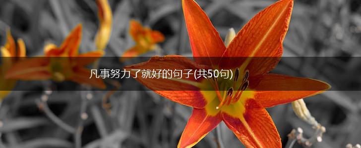 凡事努力了就好的句子(共50句),第1张