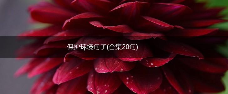 保护环境句子(合集20句),第1张