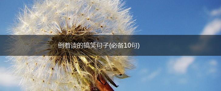 倒着读的搞笑句子(必备10句),第1张