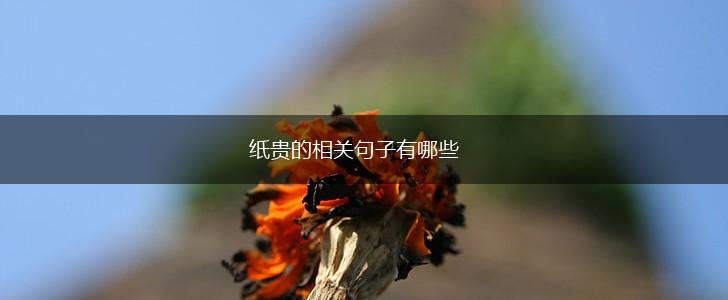 纸贵的相关句子有哪些,第1张