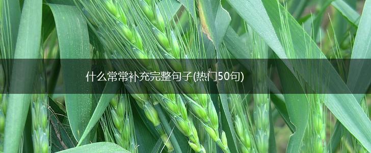 什么常常补充完整句子(热门50句),第1张