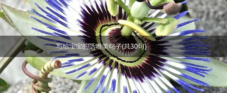 写给宝宝的话唯美句子(共30句),第1张