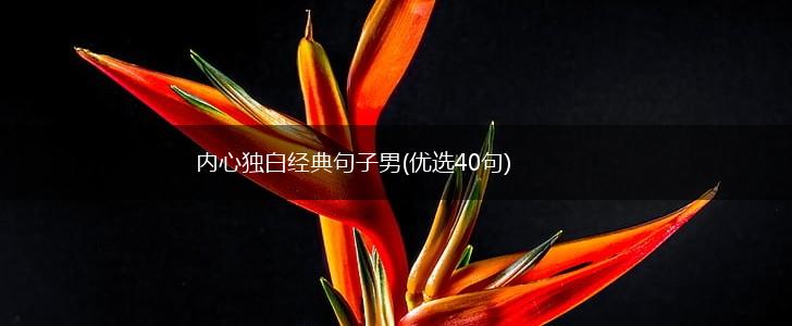 内心独白经典句子男(优选40句),第1张