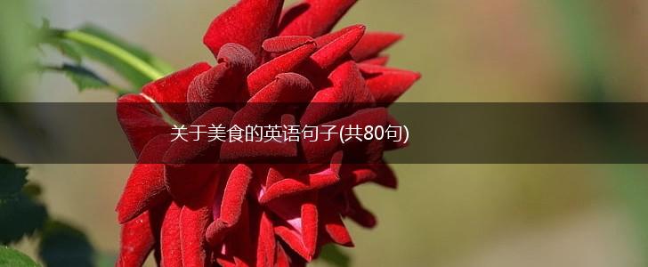 关于美食的英语句子(共80句),第1张