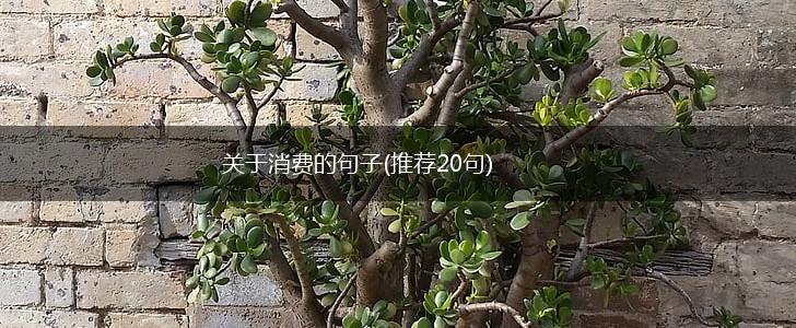 关于消费的句子(推荐20句),第1张