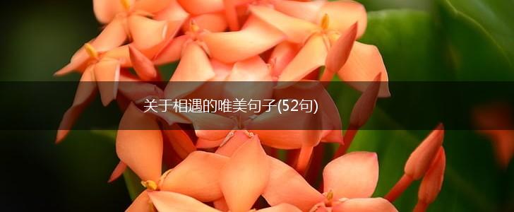 关于相遇的唯美句子(52句),第1张
