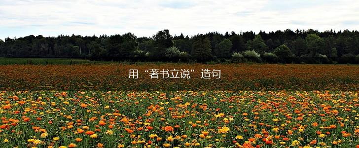 用“著书立说”造句,第1张