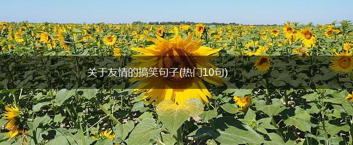 关于友情的搞笑句子(热门10句),第1张