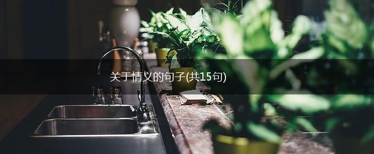 关于情义的句子(共15句),第1张