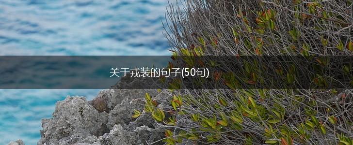 关于戎装的句子(50句),第1张