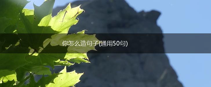 你怎么造句子(通用50句),第1张