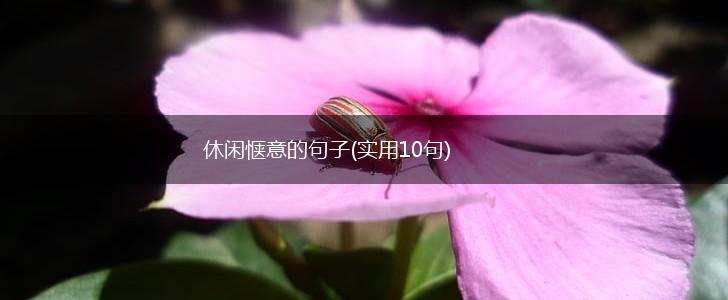 休闲惬意的句子(实用10句),第1张