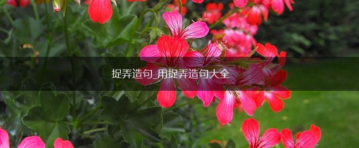 捉弄造句_用捉弄造句大全,第1张