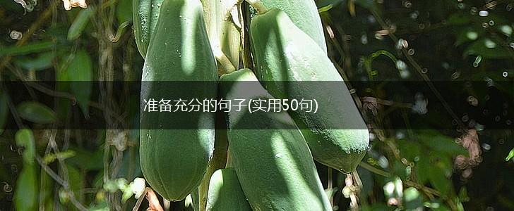 准备充分的句子(实用50句),第1张