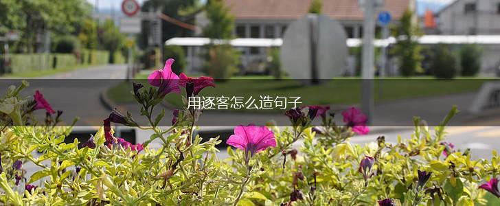 用逐客怎么造句子,第1张