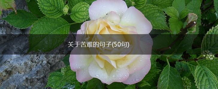 关于苦难的句子(50句),第1张