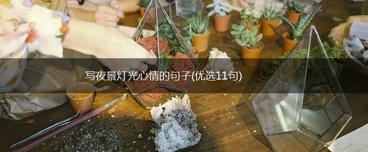 写夜景灯光心情的句子(优选11句),第1张