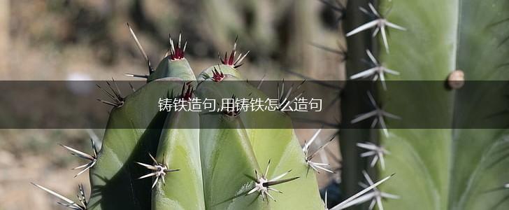 铸铁造句,用铸铁怎么造句,第1张