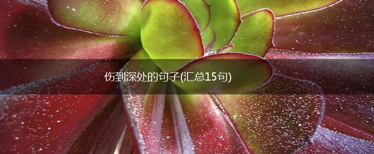 伤到深处的句子(汇总15句),第1张