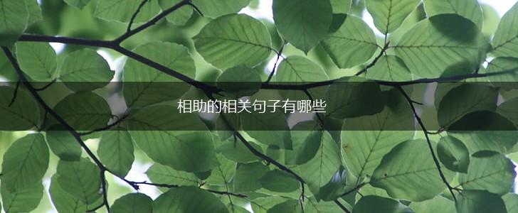 相助的相关句子有哪些,第1张