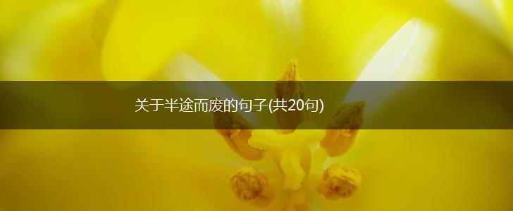 关于半途而废的句子(共20句),第1张