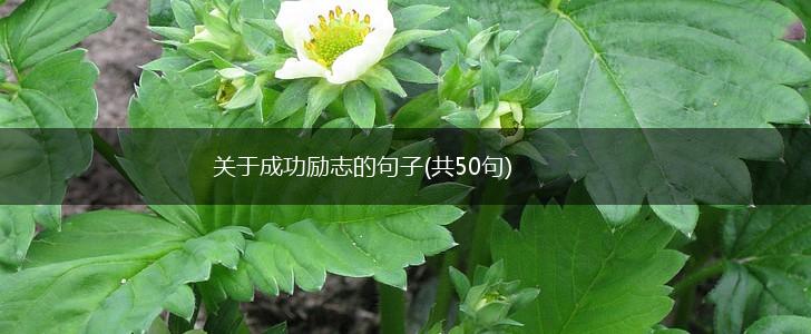 关于成功励志的句子(共50句),第1张