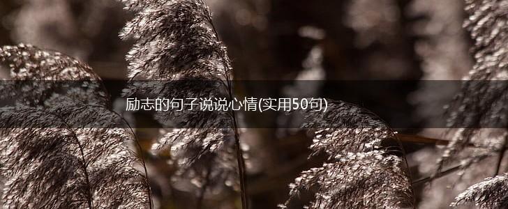 励志的句子说说心情(实用50句),第1张