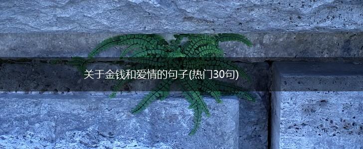 关于金钱和爱情的句子(热门30句),第1张