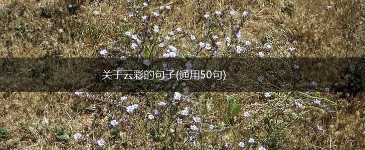 关于云彩的句子(通用50句),第1张
