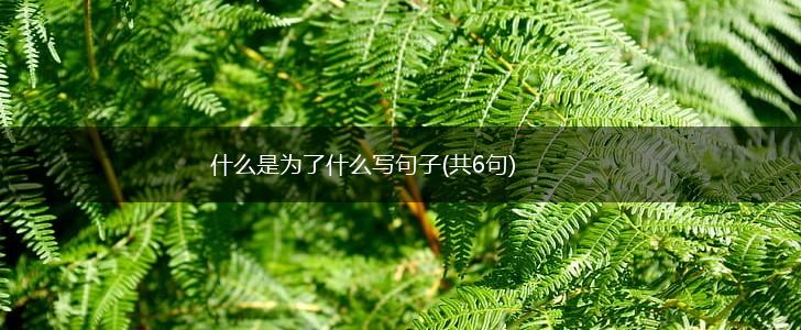 什么是为了什么写句子(共6句),第1张