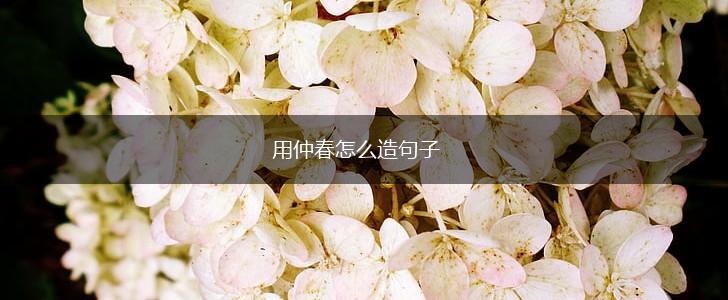 用仲春怎么造句子,第1张