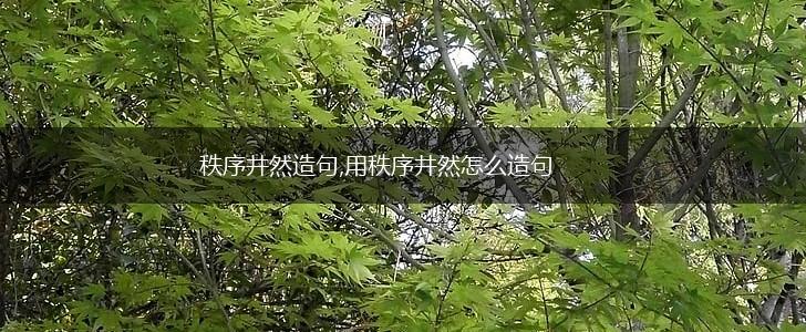 秩序井然造句,用秩序井然怎么造句,第1张