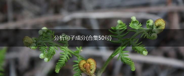 分析句子成分(合集50句),第1张