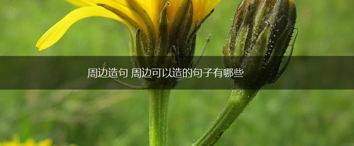 周边造句 周边可以造的句子有哪些,第1张