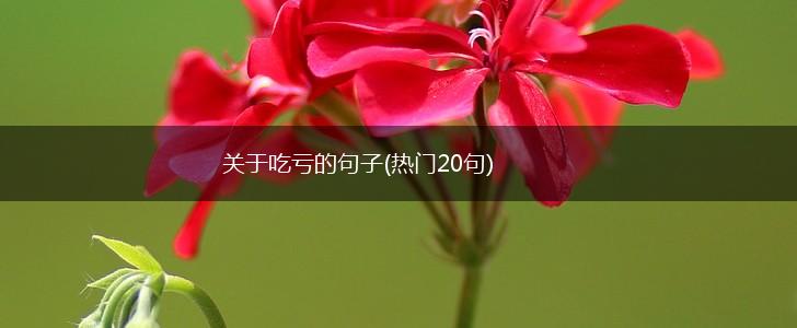 关于吃亏的句子(热门20句),第1张