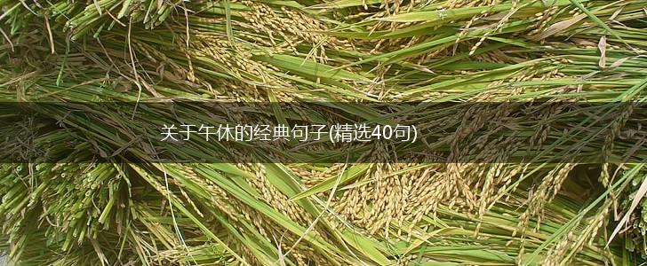 关于午休的经典句子(精选40句),第1张