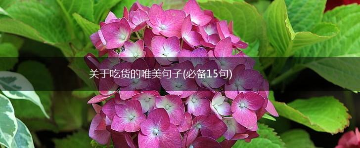 关于吃货的唯美句子(必备15句),第1张