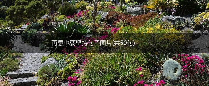 再累也要坚持句子图片(共50句),第1张