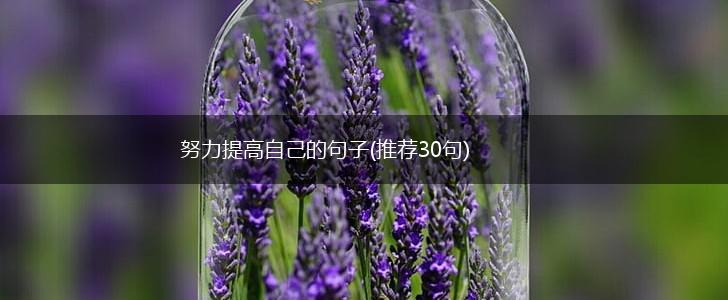 努力提高自己的句子(推荐30句),第1张