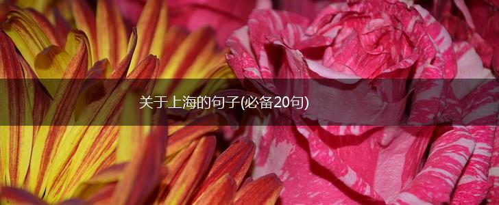关于上海的句子(必备20句),第1张