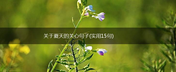 关于夏天的关心句子(实用15句),第1张