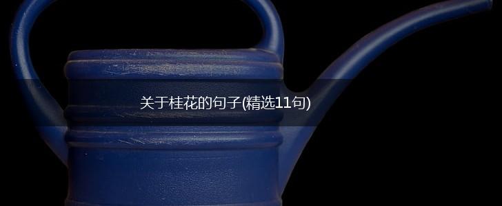 关于桂花的句子(精选11句),第1张